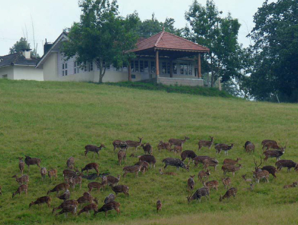 Shimla Tour